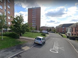 The attempted rape happened in an alley off Champions Way adjacent to Stourbridge Road. Photo: Google.