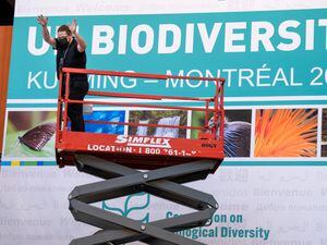 Workers set up the Montreal Convention Centre in preparation for the Cop15 UN conference on biodiversity in Montreal