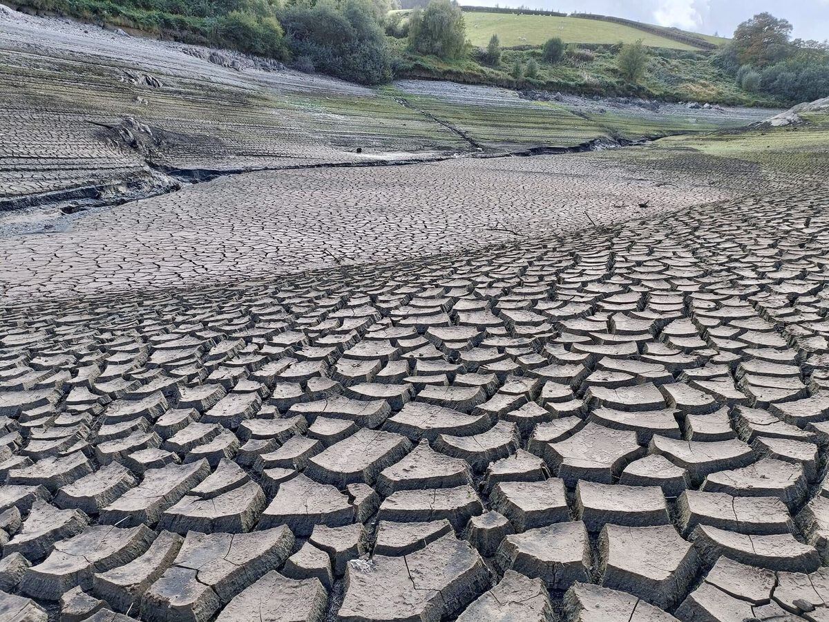 Dramatic image show the impact of the driest summer months in over 170 years. Photo: Kate Evans
