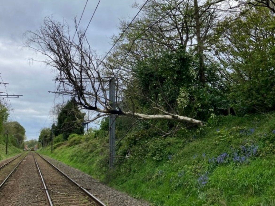 Busy commuter railway remains closed day after tree fell onto electric wires