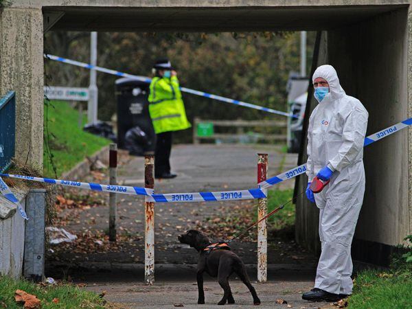 A crime scene investigator near Sheepstor Road in Plymouth, after the body of a woman was found in the hunt for missing Plymouth teenager Bobbi-Anne McLeod, who has not been seen since Saturday evening