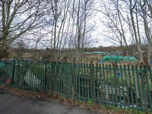 The allotments on Dudley Road. PICTURE: Google Streetview