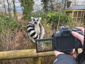 Winners will have their photos included in Dudley Zoo’s 2023 calendar