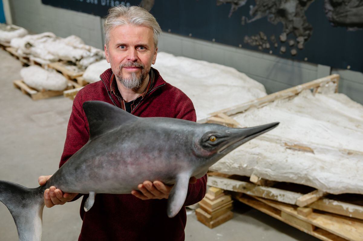 Palaeontologist Nigel Larkin with a model of how an Ichthyosaur would have appeared