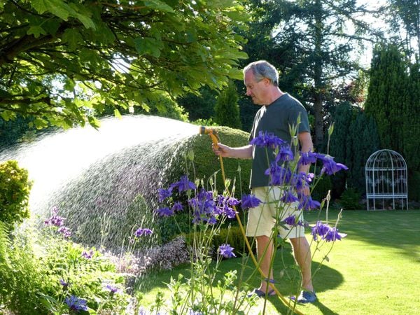 A man watering his garden