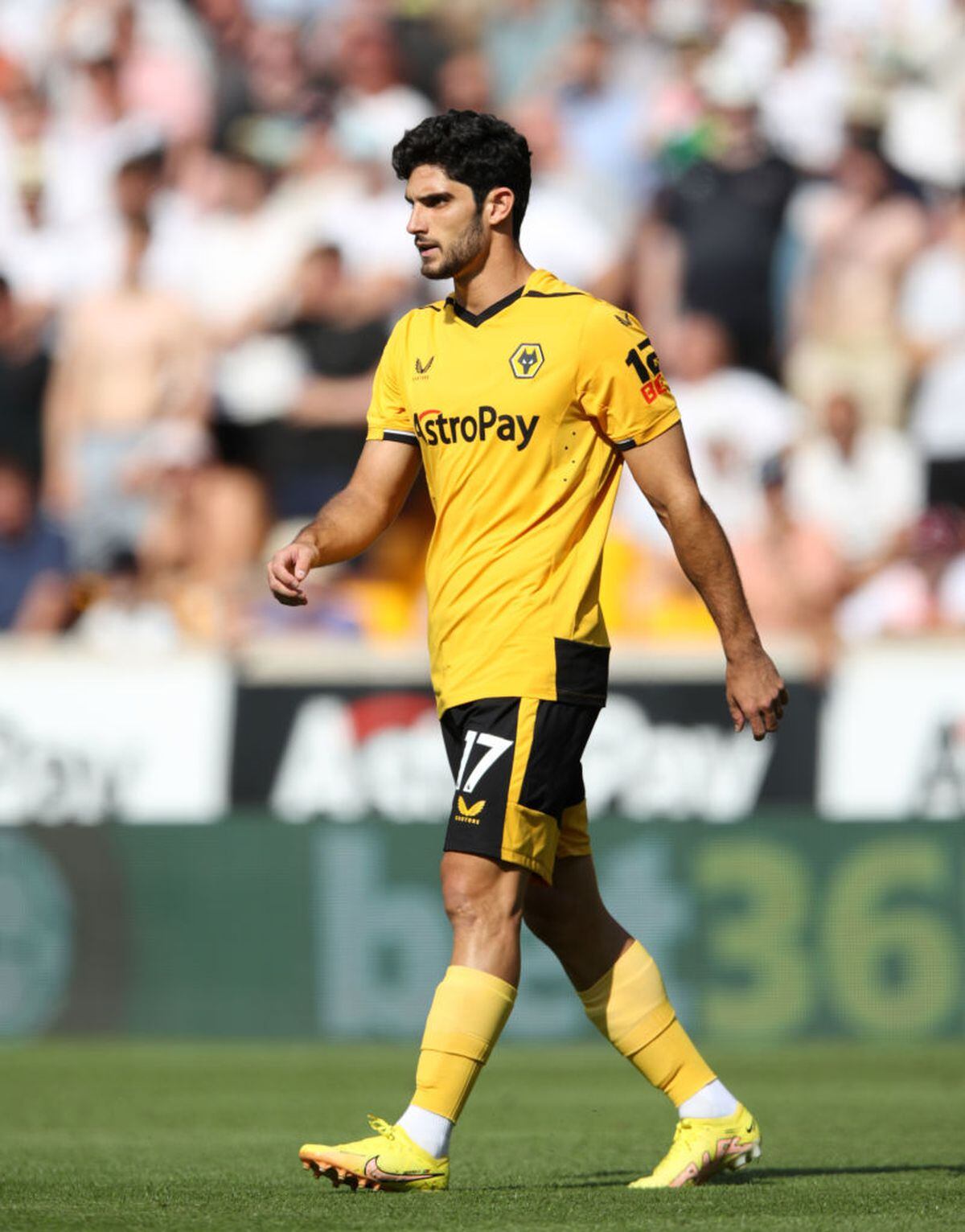 Goncalo Guedes (Getty)
