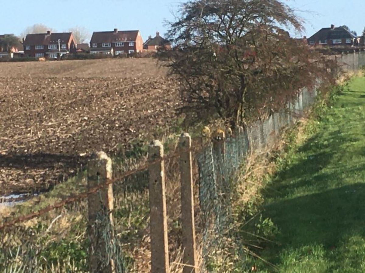 Green belt land off Linthouse Lane, on the South Staffordshire/Wolverhampton border, has been lined up for homes