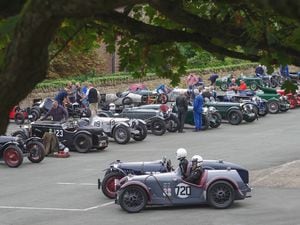 A line up of VSCC cars at Loton Park. Picture: John Hallett