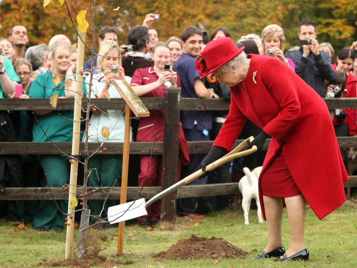Queen Elizabeth II planting a tree