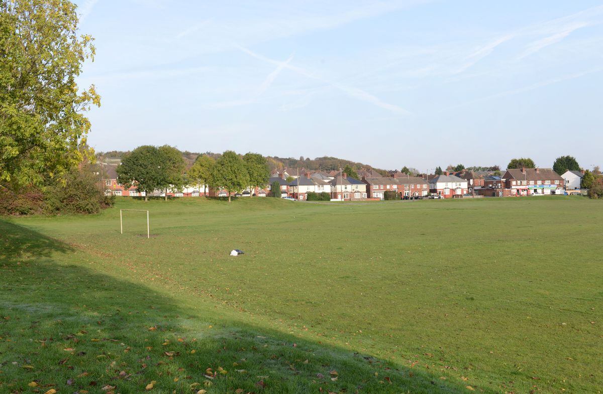 The Lion Farm Playing Fields, in Oldbury, which could be redeveloped