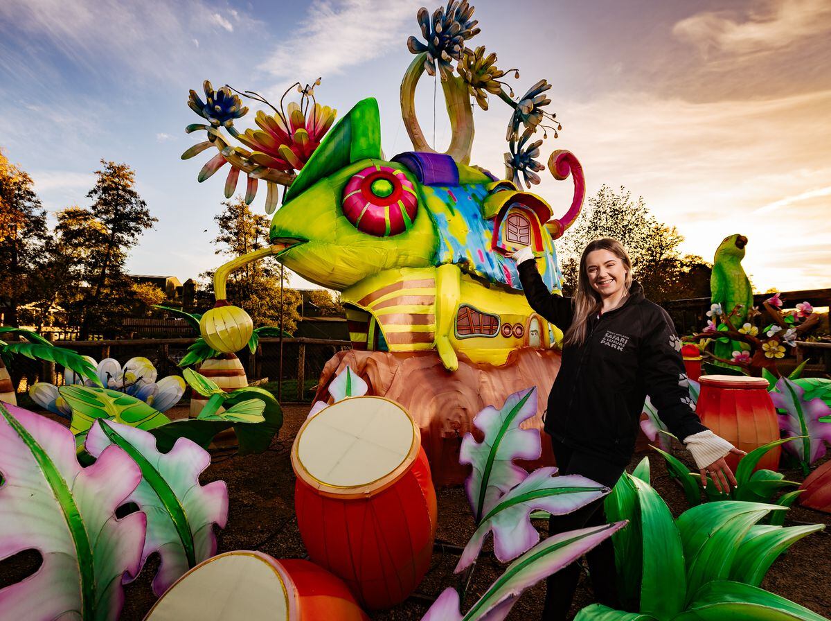 Marketing assistant Shona Wright at West Midland Safari Park which will be hosting a lantern festival