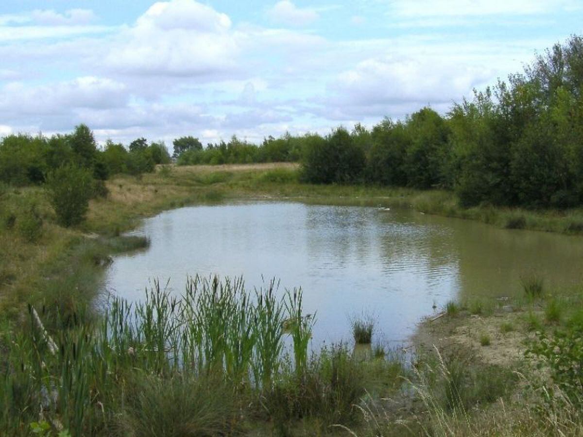 Wetlands in Walsall will be expanded