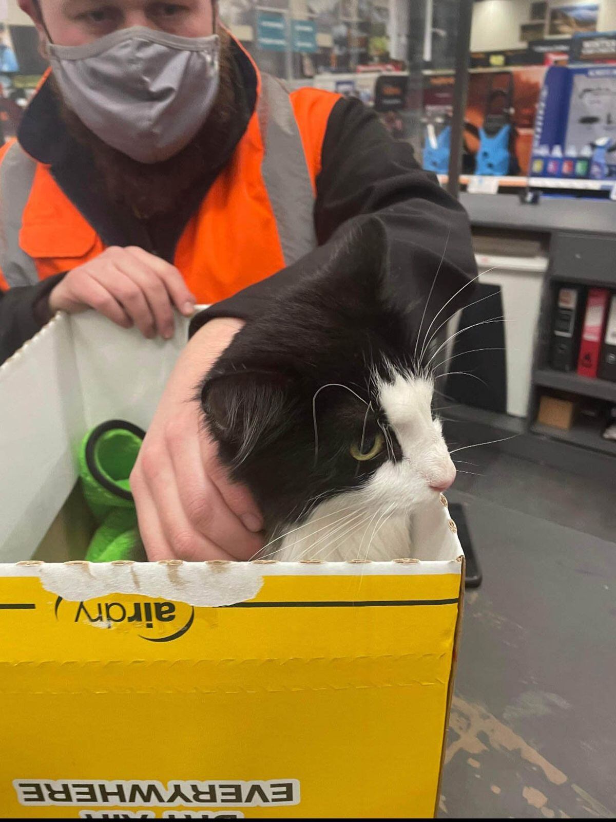 Chipper was looked after at the Halfords store in Stafford