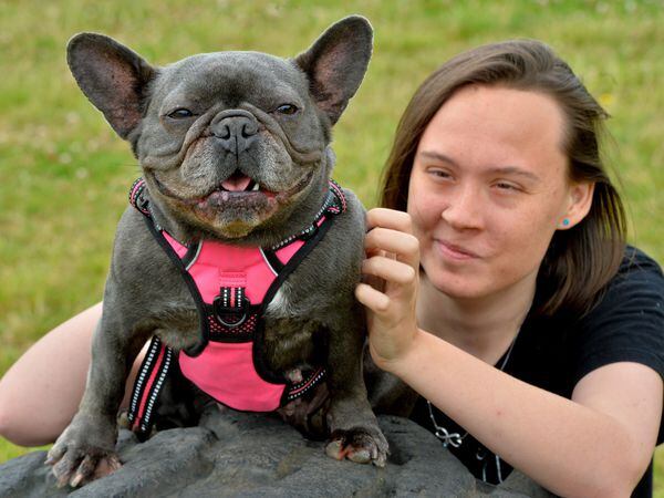 Jay Westwood, a volunteer with Wings and Paws with French Bulldog Nancy