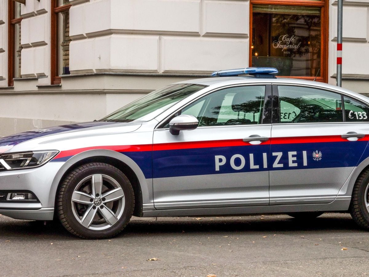 Man found living in Austrian cellar ‘with six English children’ arrested