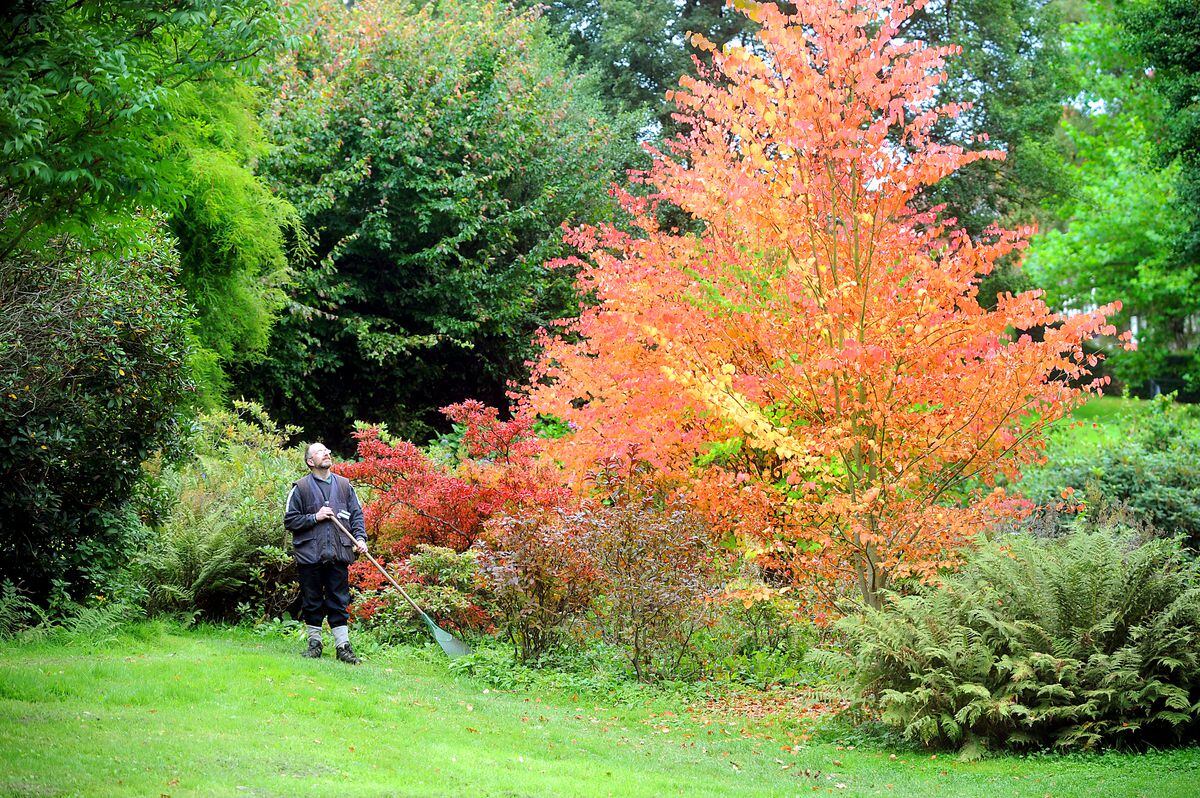 Attingham Park, near Shrewsbury, has extensive grounds perfect for discovering the beauty of autumn