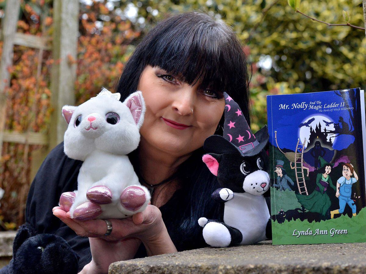 Lynda Ann Green has just published her second children's book called Mr Nolly and the Magic Ladder II