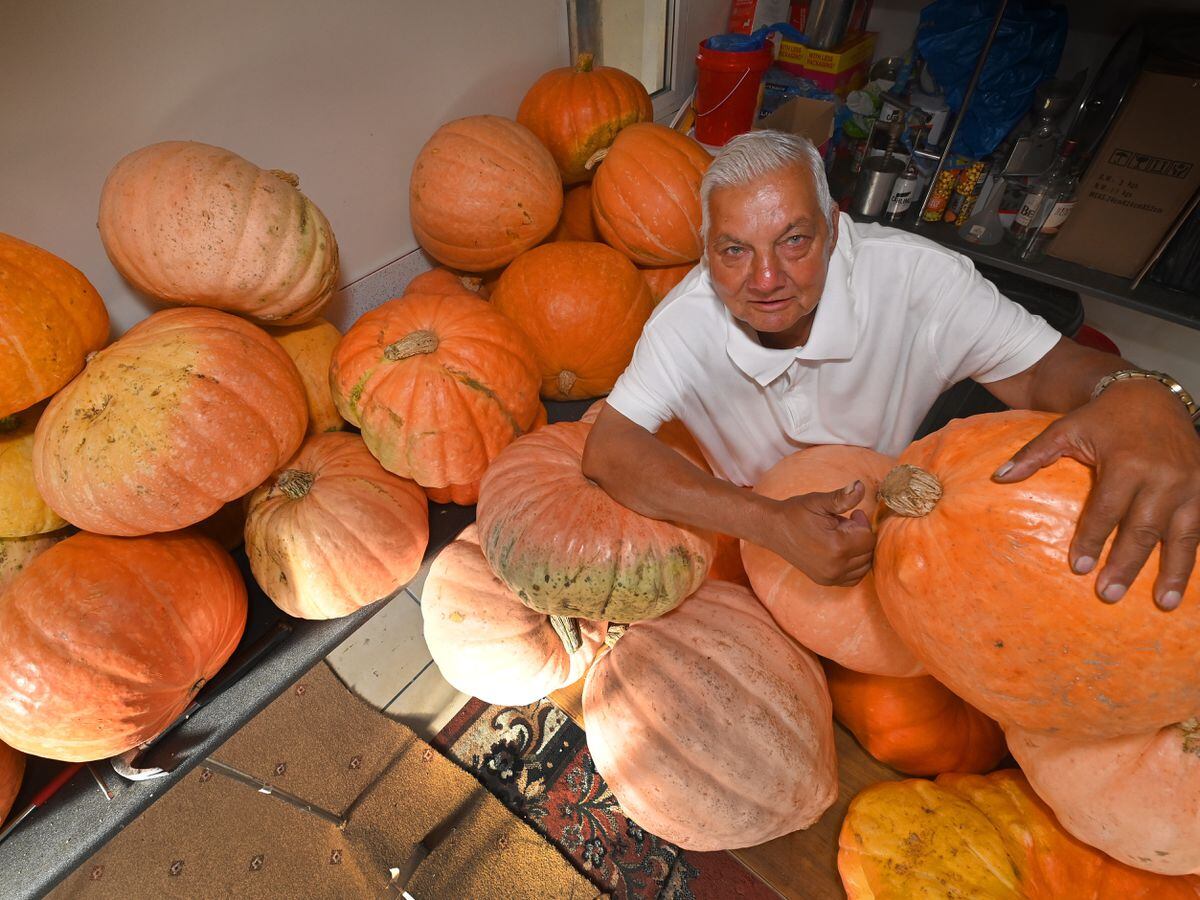 SANDWELL COPYRIGHT MNA MEDIA TIM THURSFIELD 13/10/22.Paul Singh from White Road, Smethwick, with his impressive crop of pumpkins...
