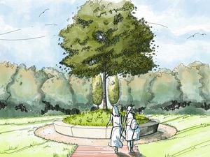 A concept drawing shows how the Trees of Life exhibition will look