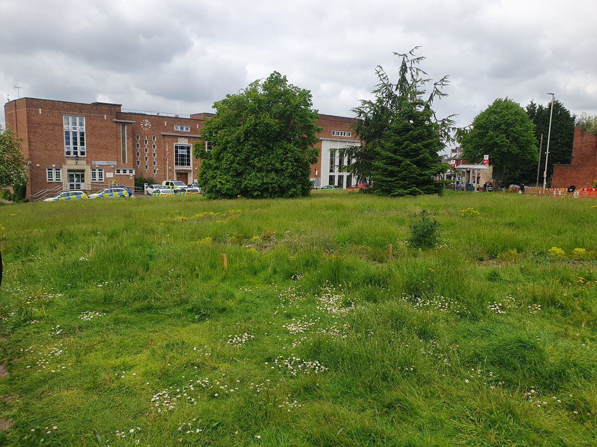 The grass outside the Civic Hall