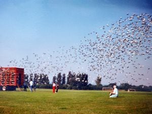 Racing pigeons used to be a popular hobby – these were being released in Shrewsbury in a race to South Wales.