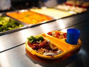 A record number of pupils were eligible to receive free school meals.