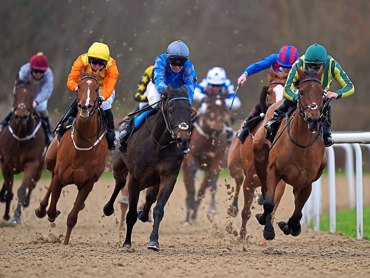 The Black Country Chamber of Commerce is to hold a race day