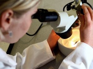 Scientist looks into microscope