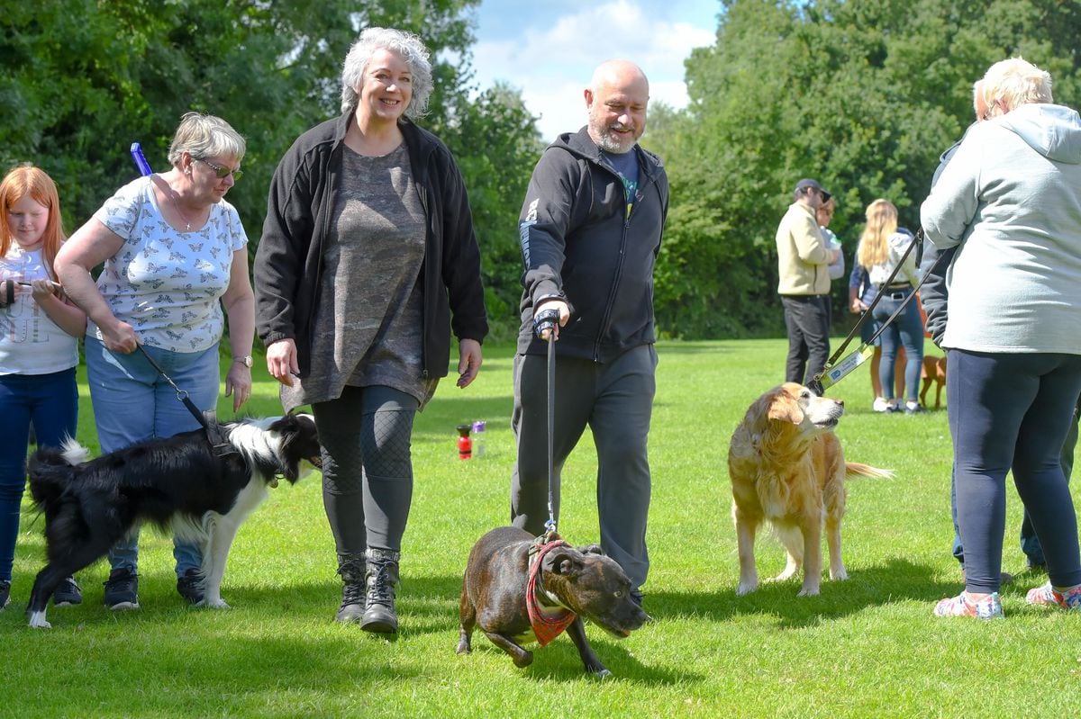 Winners of Halesowen dog show at Highfield Park, Halesowen (Image: SnapperSK)