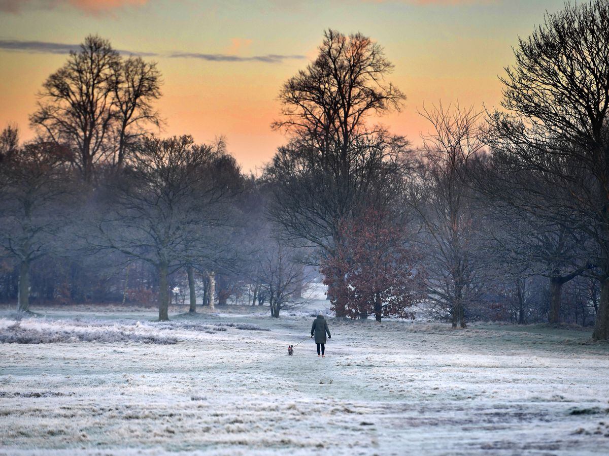 Frosty mornings are set to become a regular occurrence this week