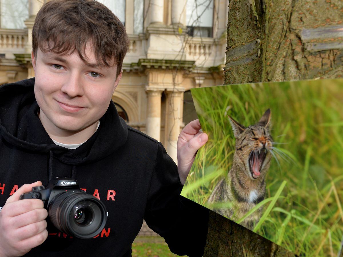 Devon Beckett, aged 16, from Bushbury, snapped the colour image of his cat, Belle, in his garden 