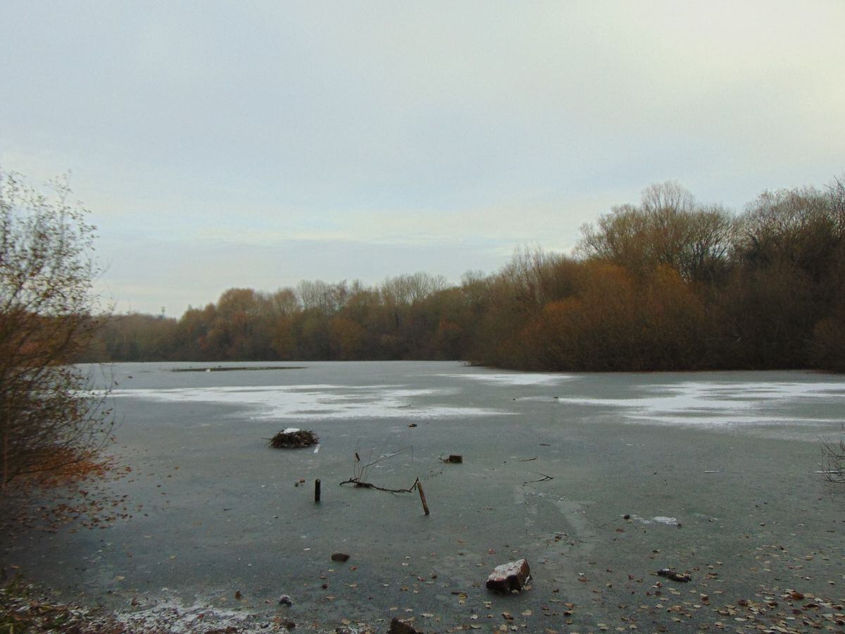 The ice. Photo: The Friends of Queslett Nature Reserve