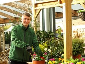 Dobbies Garden Centre is offering free planting sessions
