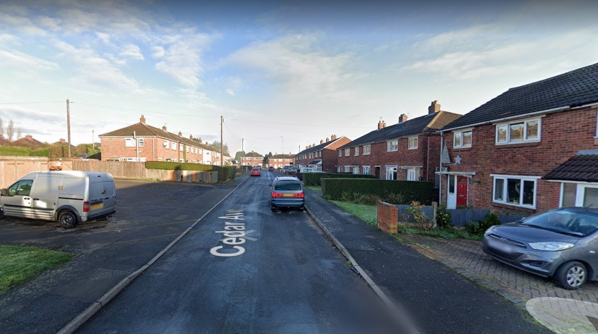 Police were called to the dispute on Cedar Avenue in Brownhills. Photo: Google
