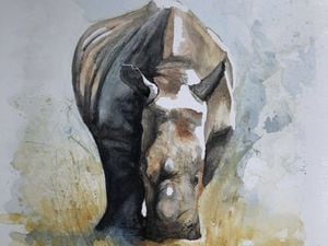 A watercolour rhino, by Laura Smith, www.laurajaynesmithart.com