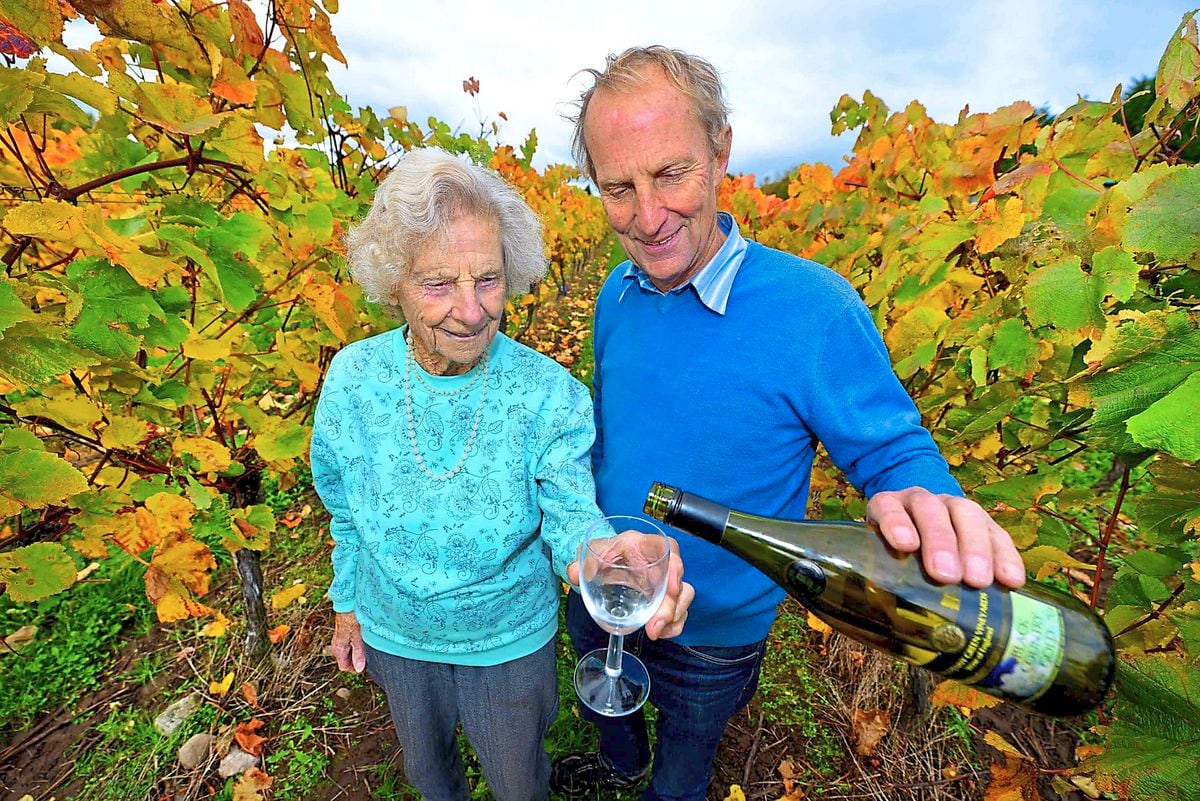 Cheers! 97-year-old volunteer Ann Hawkins celebrates another successful harvest with vineyards owner Martin Vickers