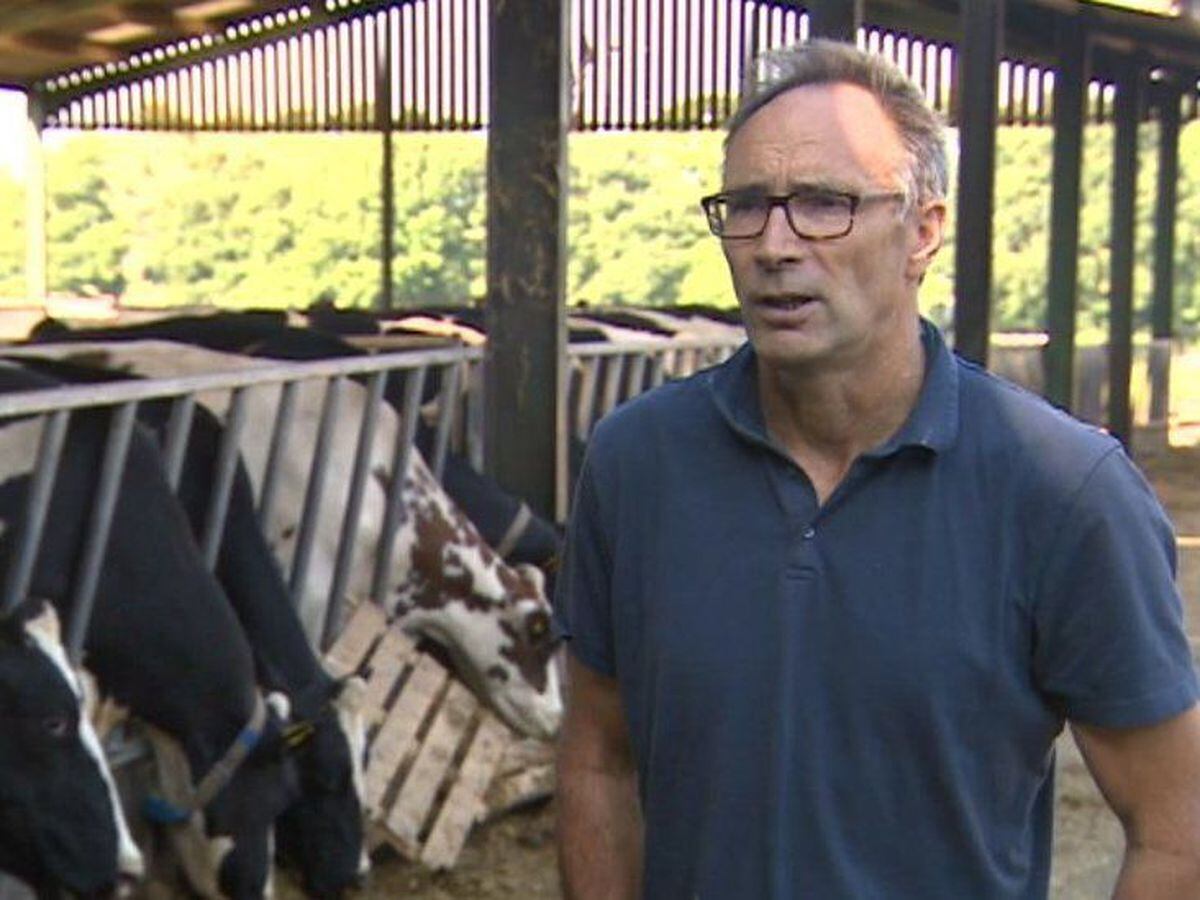Farmer Henry Bloxham. Photo: BBC Midlands Today