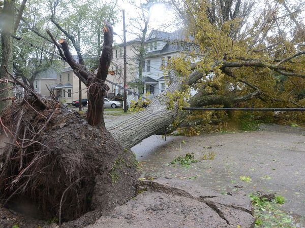 Fallen trees block a street and take down power lines