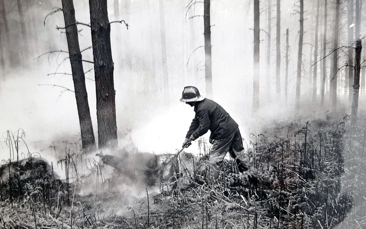 The Chase was hit by forest fires during the sizzling hot summer of 1976