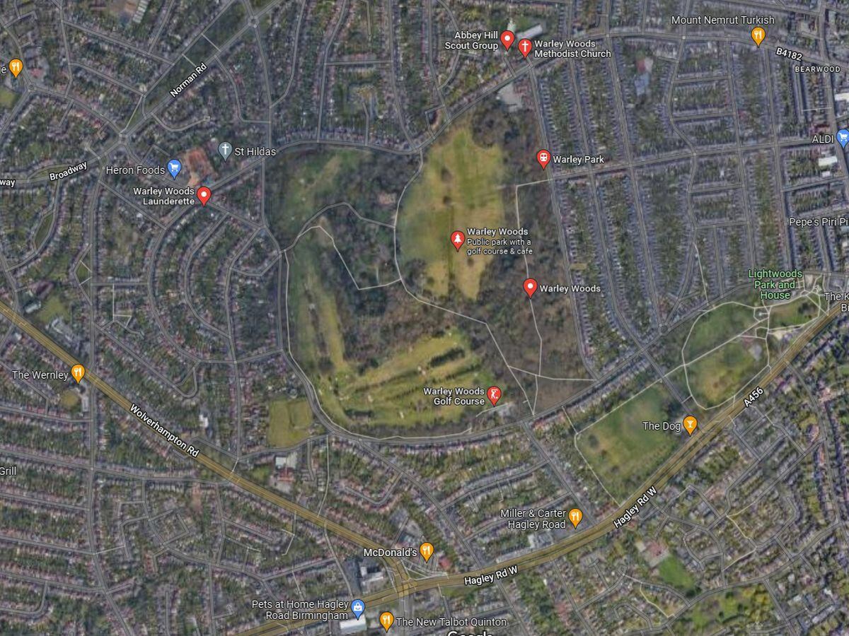 The boys were attacked and robbed in Warley Woods, Smethwick. Photo: Google