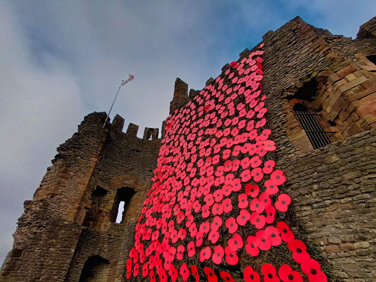 Poppies cascade down Dudley Castle in this picture by Stephen Parkes