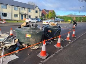 Fly-tipping dumped on Essington Road in Willenhall. PIC: Walsall Council