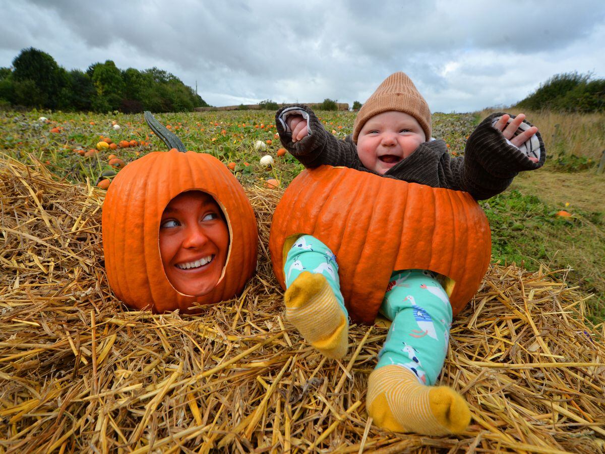 Alexander Bower and staff member Connie Gibson are getting excited about October and the pumpkin harvest