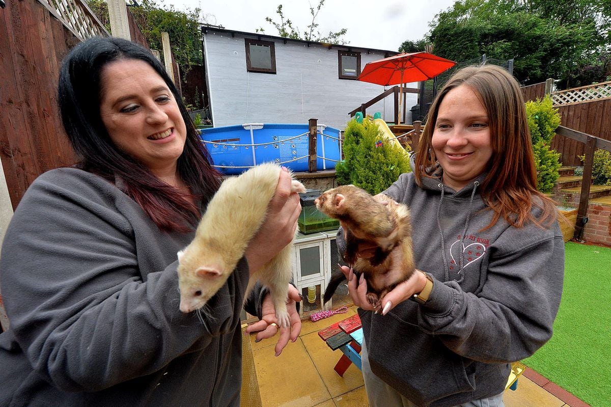 Sophie Pepper and Melanie Coley with ferrets Margot and Robbie