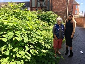 Wendy Evans, co-owner of The Bell, and Councillor Simran Cheema next to Japanese knotweed in Bell Alley, Willenhall. Photo: Gurdip Thandi LDR