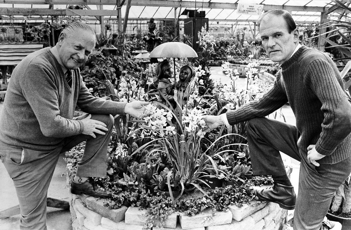 Percy and his business partner Duncan Murphy show off some of their orchids at the Percy Thrower Gardening Centre, Shrewsbury, on March 3, 1986. 