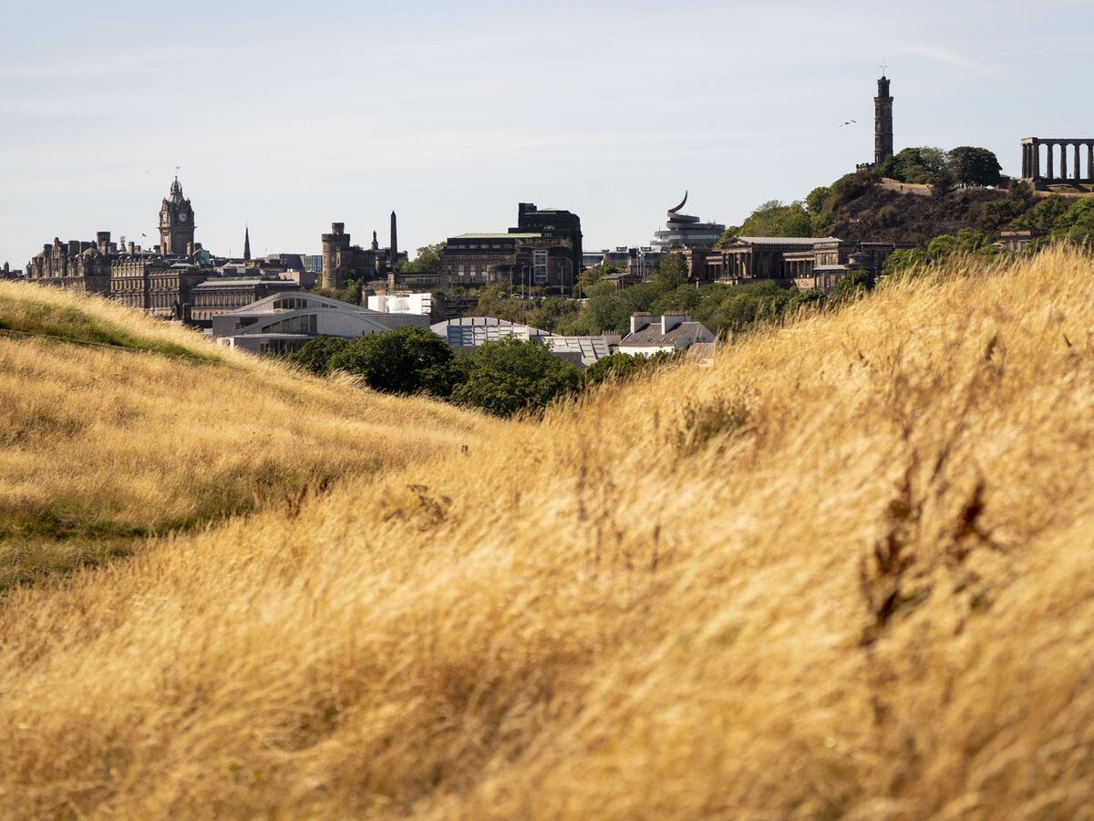 Dry grass in Edinburgh