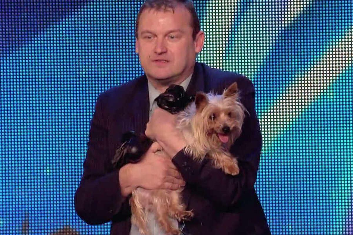 WATCH: Max the dog becomes internet sensation after Britain's Got Talent  Ant attack | Express & Star