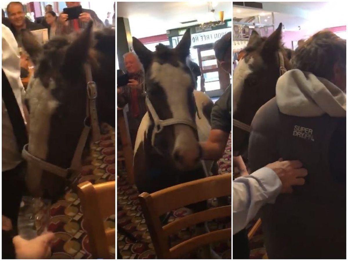 'It's an 'oss in the pub!' - WATCH moment man brings horse into Wetherspoons