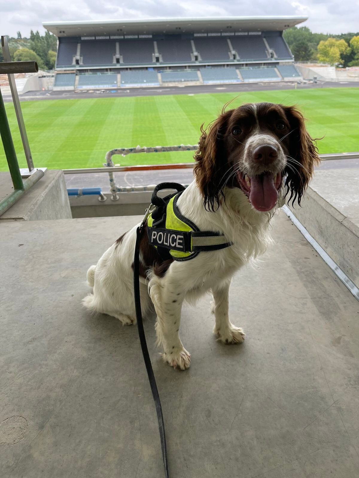 PD Bobby died of a tumour